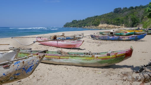 Landscape view of Wanokaka beach with colorful outrigger fishing boats, Lamboya, Sumba island, East Nusa Tenggara, Indonesia