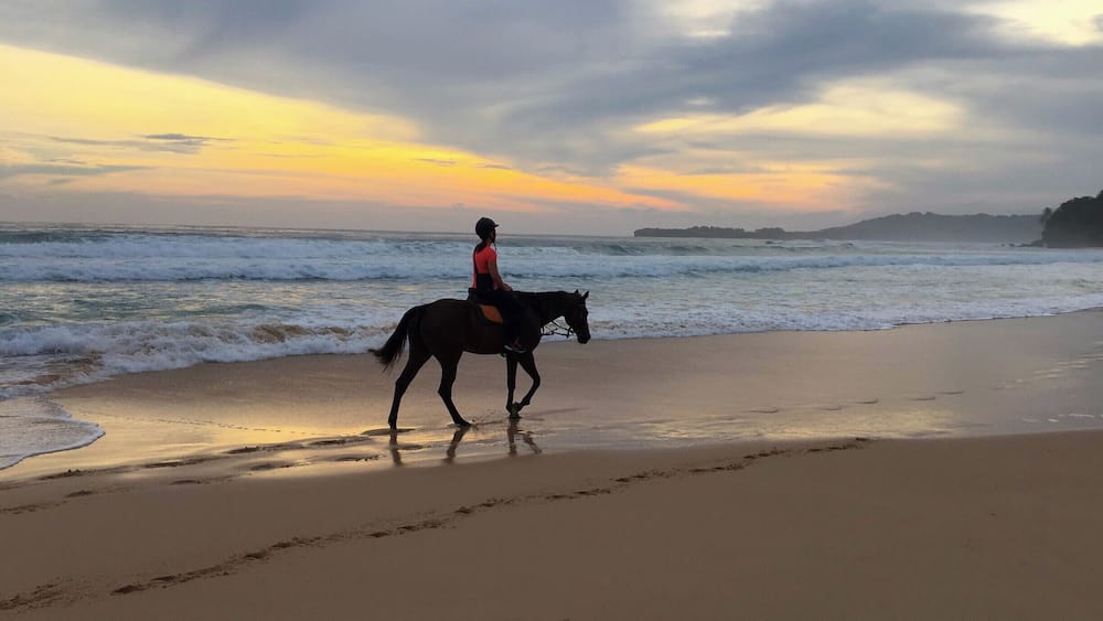 Une personne à cheval, chevauchant le long d’une plage au coucher du soleil.