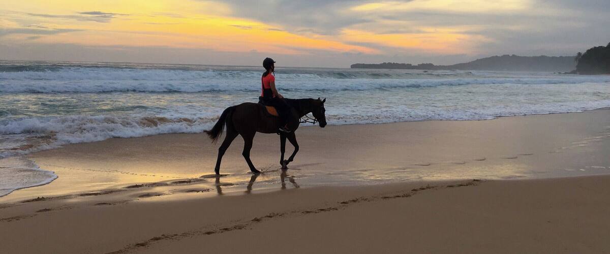 A person riding a horse along a beach at sunset.