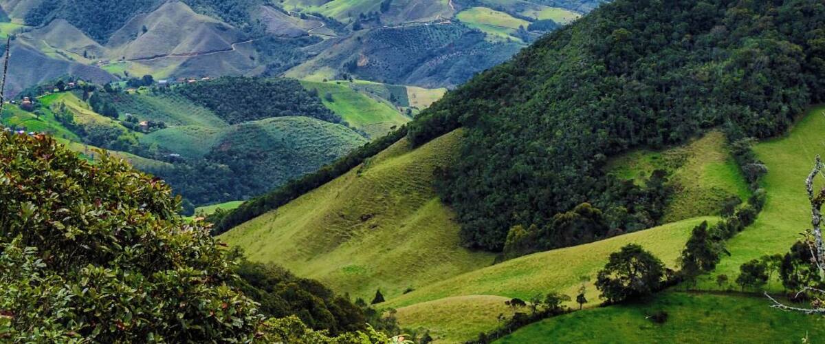 Rolling green hills, dense forests, and distant mountains.