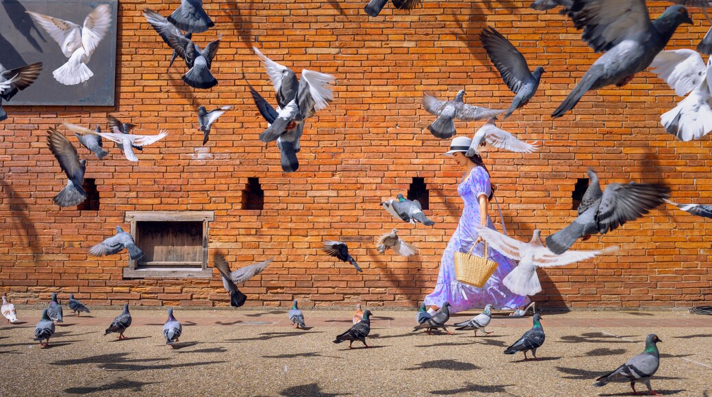 Carrer Peatonal Tha Pae