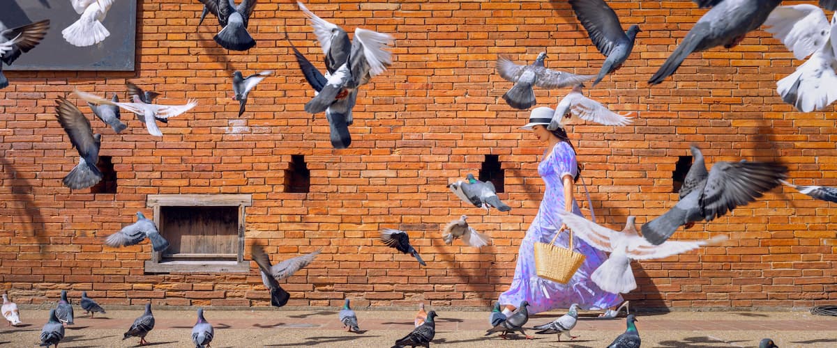 Asian woman tourist walks through the middle of a pigeon next to Tha Phae Gate in Chiang Mai, Thailand.