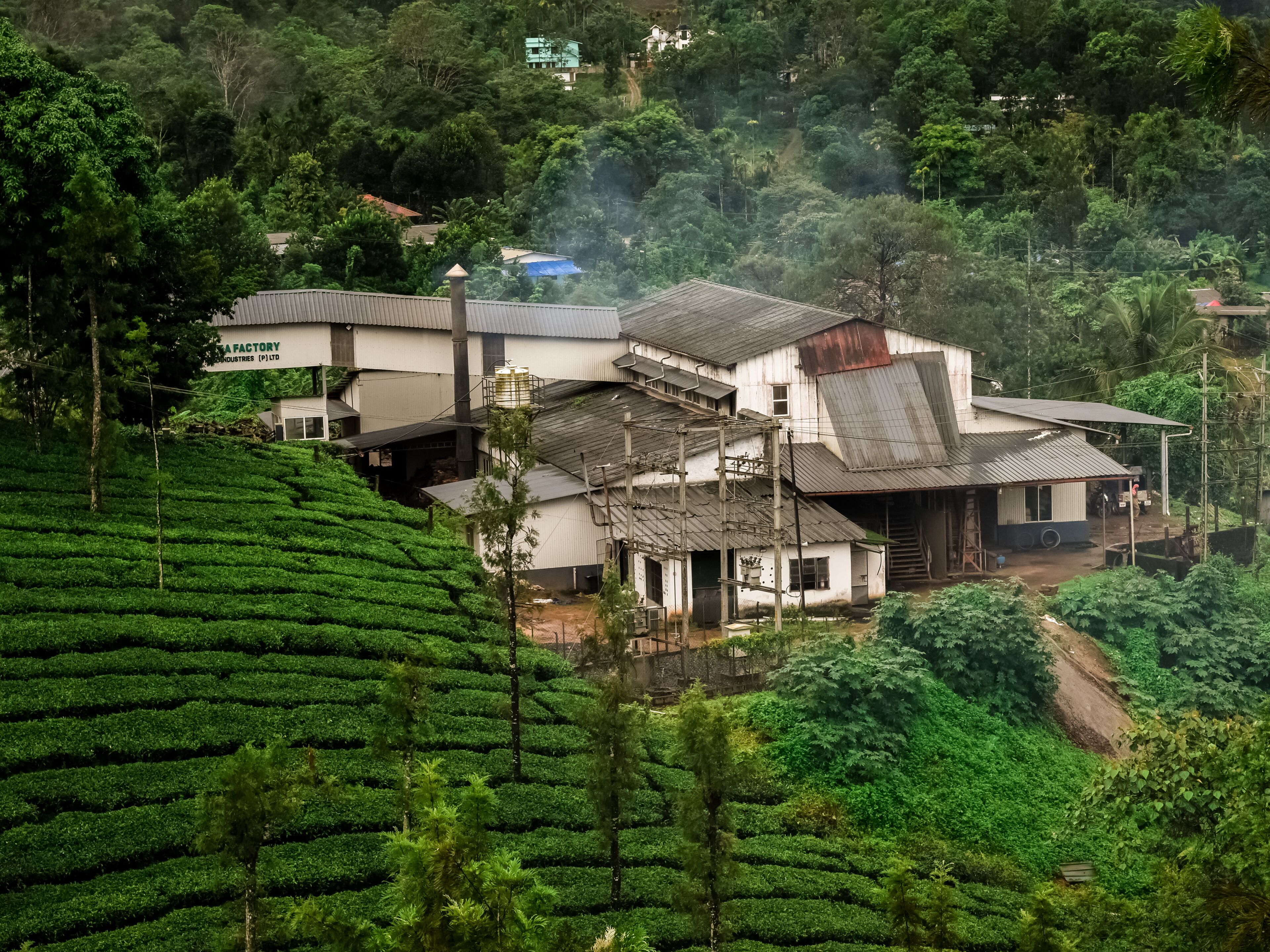 Long shot of a tea factory in vythiri wayanad kerala surrounded by tea plantations during monsoon.