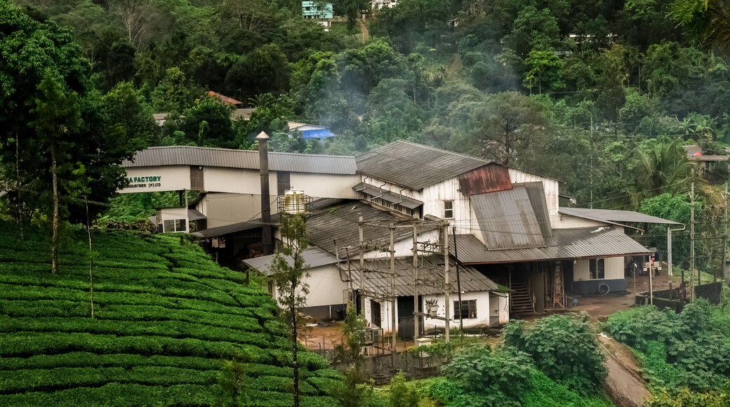 Long shot of a tea factory in vythiri wayanad kerala surrounded by tea plantations during monsoon.