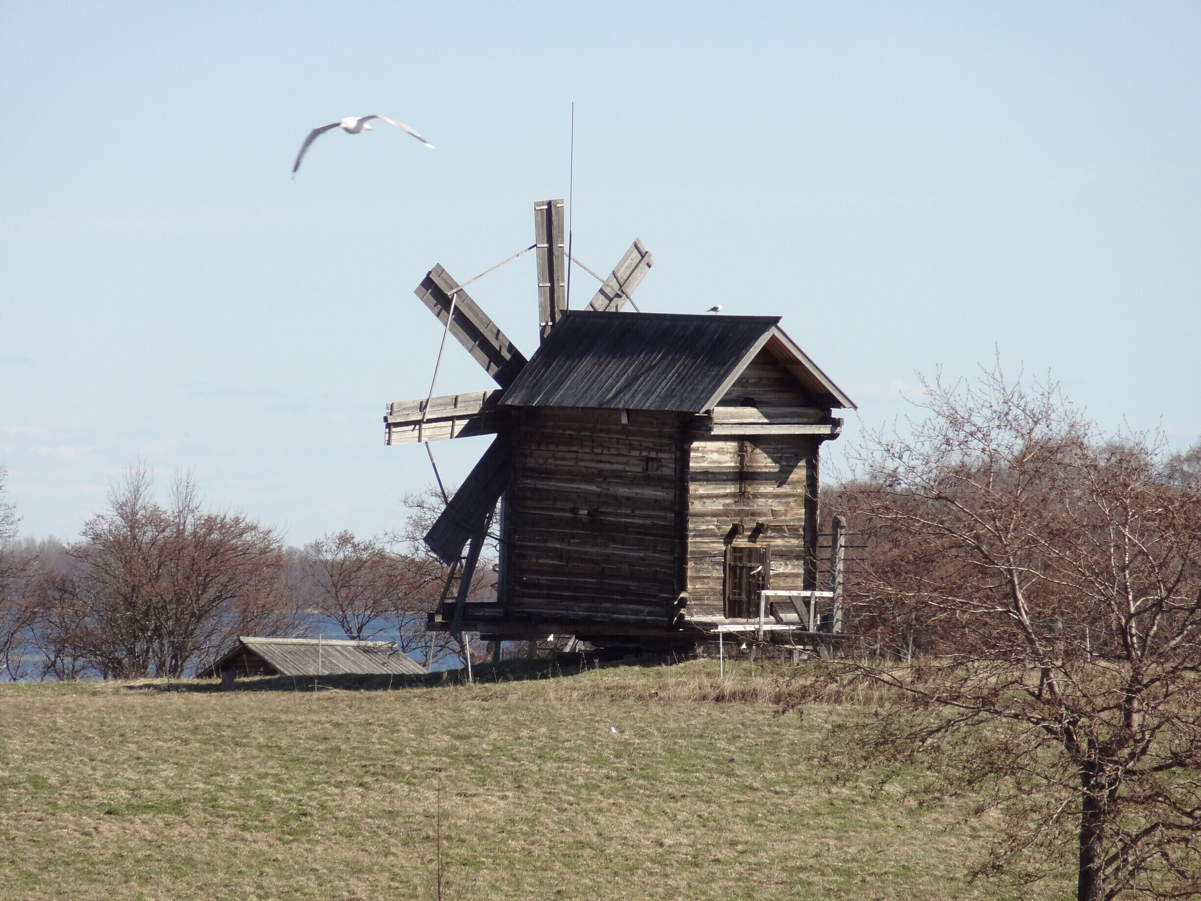 #Kizhi
Moinho - Windmill

Esta ilha é um Patrimônio da Humanidade (Unesco) com o seu Museu a Céu Aberto de História, Arquitetura e Etnografia. Possui duas pequenas aldeias de agricultores medindo cerca de 7 km de comprimento e 500 m de largura. As principais construções são duas igrejas e uma torre-de-sino. Elas foram construídas com toras de pinheiros sem o uso de pregos ou parafusos. O resto da ilha abriga ainda belas estruturas em madeira, que incluem moinhos, capelas, barcos, saunas, celeiros, depósitos de grãos e casas.

O ponto alto da visita é a Igreja da Transfiguração. É uma construção de 1714 possui 22 domos em sua cobertura e uma grande iconóstase. Conheci também a Igreja da Intercessão de 1764 com seus 10 domos e suas iconóstases e a Torre-de-sino de 1874. Mais à frente tem a pequena Igreja da Ressurreição de Lázaro (A mais antiga da Russia feita em madeira). A paisagem é muito bonita. Embora estivessem 2 graus centigrados de temperatura, não senti muito frio pois estava um dia ensolarado e sem vento. Nas casas de madeira, podemos apreciar vários artesãos fazendo as suas peças de artesanato.