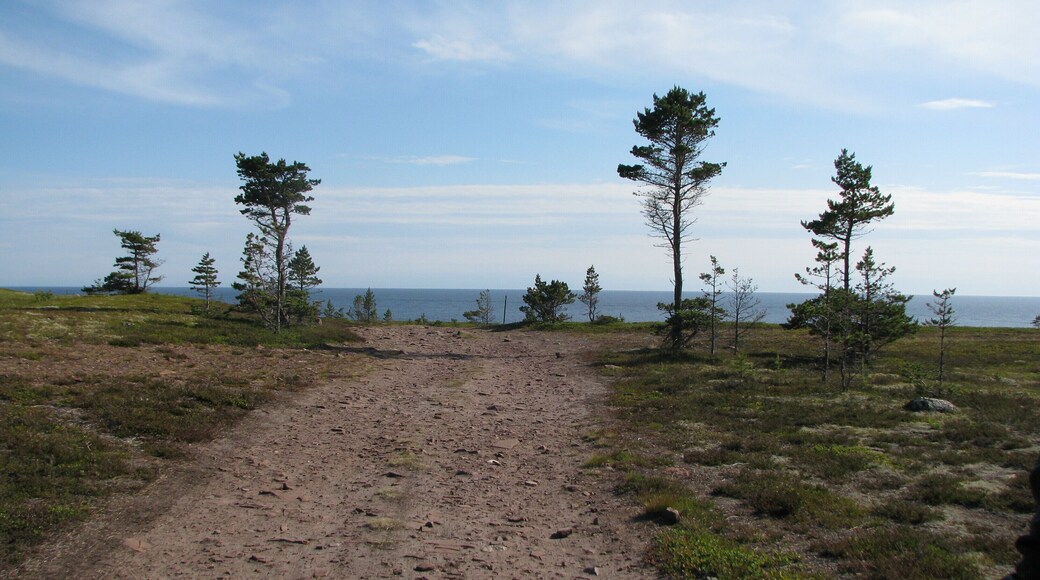 Tersky coast of the White Sea. Cape Ship