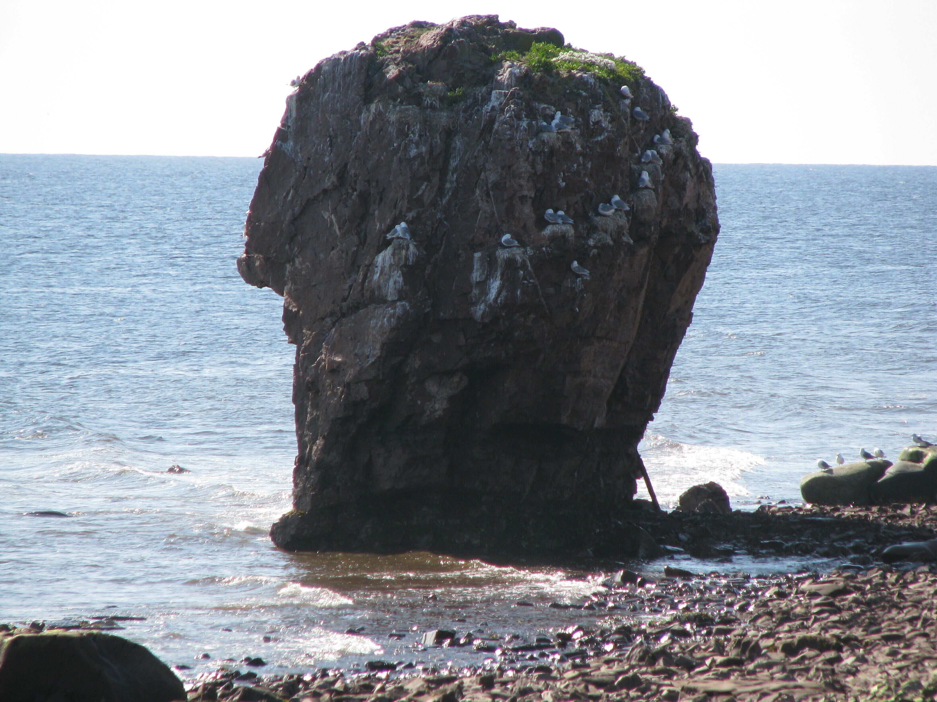 Tersky coast of the White Sea. Cape Ship
