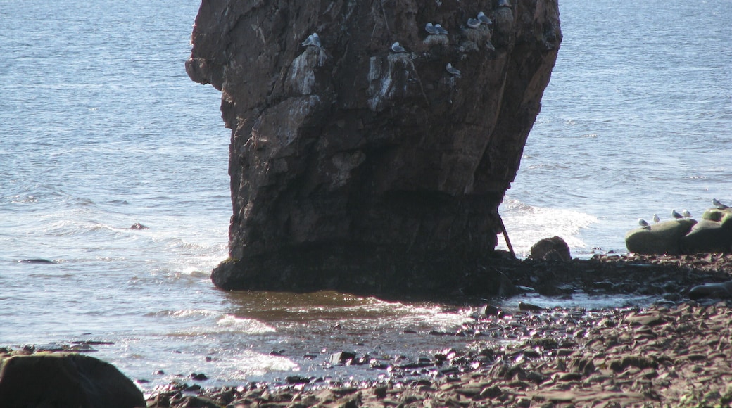 Tersky coast of the White Sea. Cape Ship