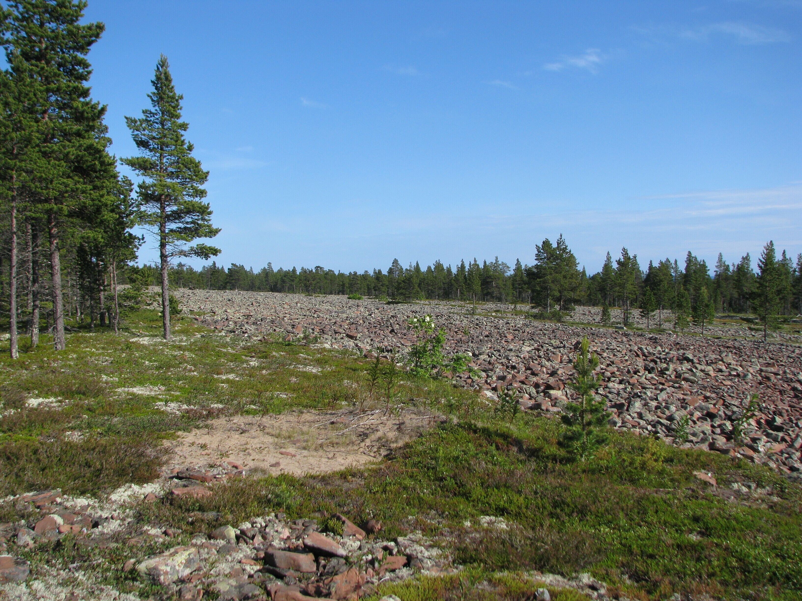 Tersky coast of the White Sea. Arctic Circle.