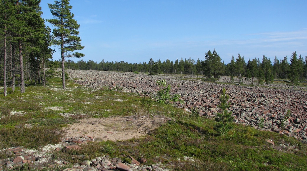 Tersky coast of the White Sea. Arctic Circle.