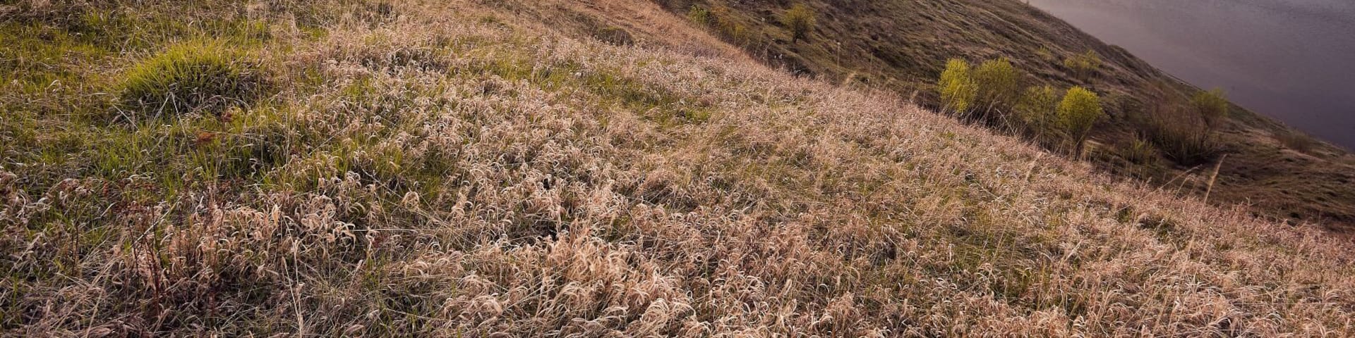Vanilla Sunset on the Volga river
