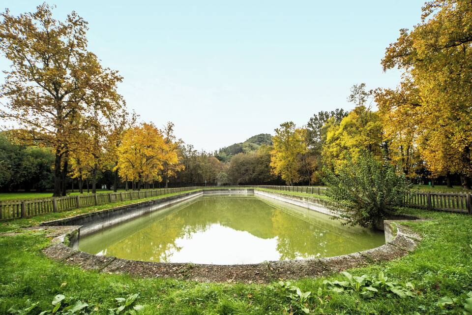 A pond surrounded by trees with autumn foliage, a wooden fence, and a grassy area.