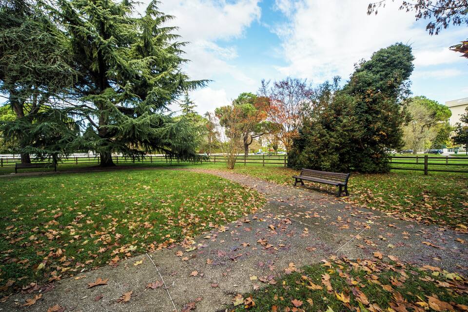 A park with a paved path, benches, and trees with autumn leaves.