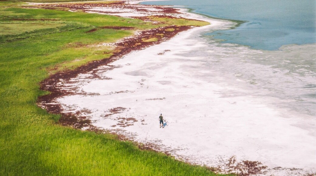 RaĂŻon de Bargouzine