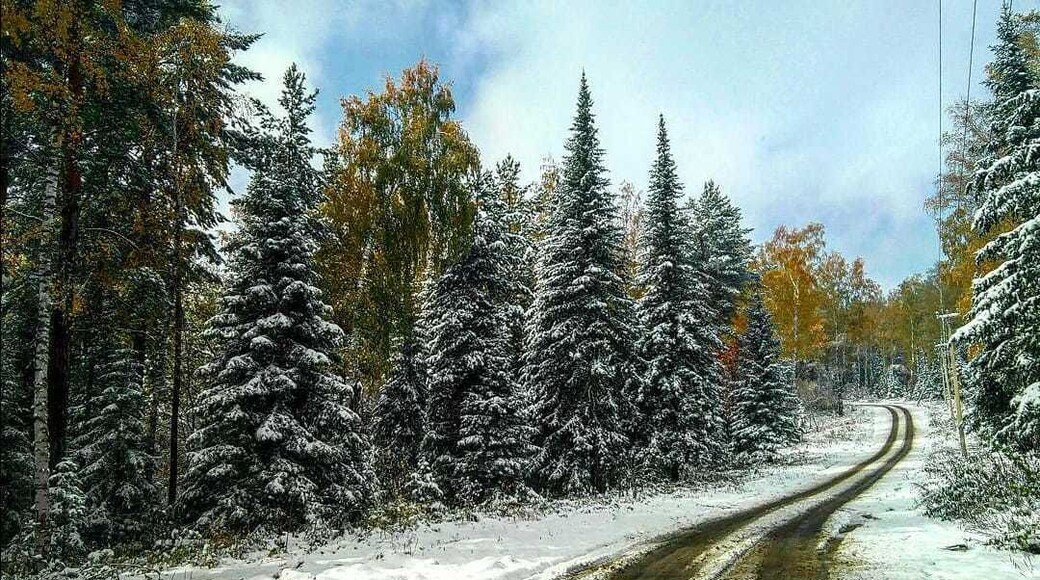 The snow clad road to the altai mountains. Shot early 2017.
#hiking
#offbeatrussia
#chuyskiytrakt