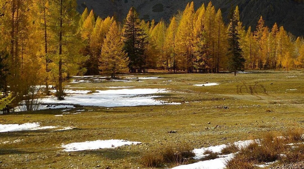 This beautiful view enthralled me completely.....took this shot early 2017 .....still missing those mountains.... The altai mountains are such a treat to the eyes. A must visit for people who wan't to explore russia beyond Moscow and St Petersburg..
#offbeatrussia
#altaimountains
#russia
#hiking
#golden