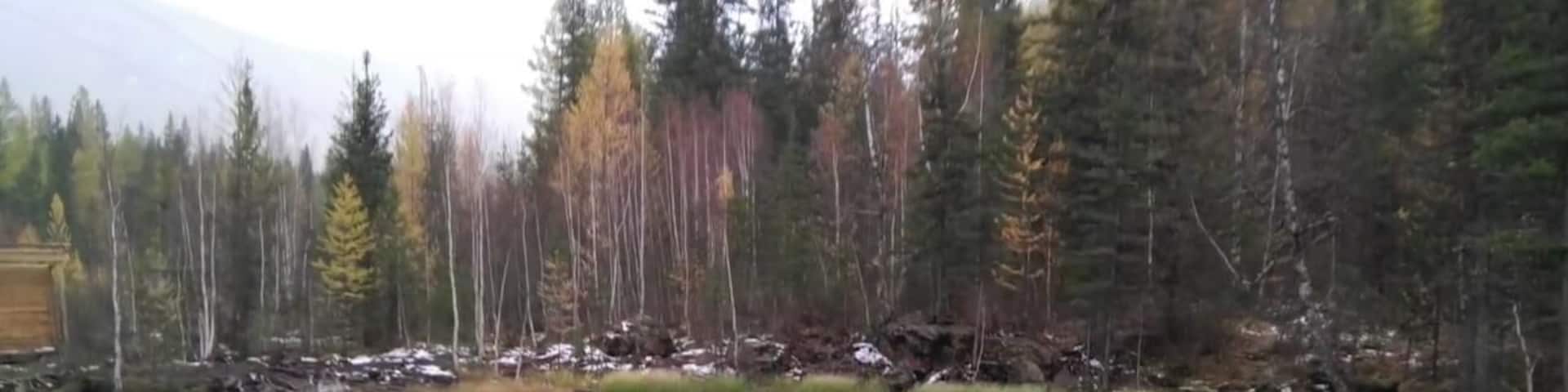Somewhere among the beautiful and picteresque altai mountains
#russia
#hiking
😍😍