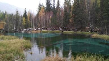 Somewhere among the beautiful and picteresque altai mountains
#russia
#hiking
😍😍