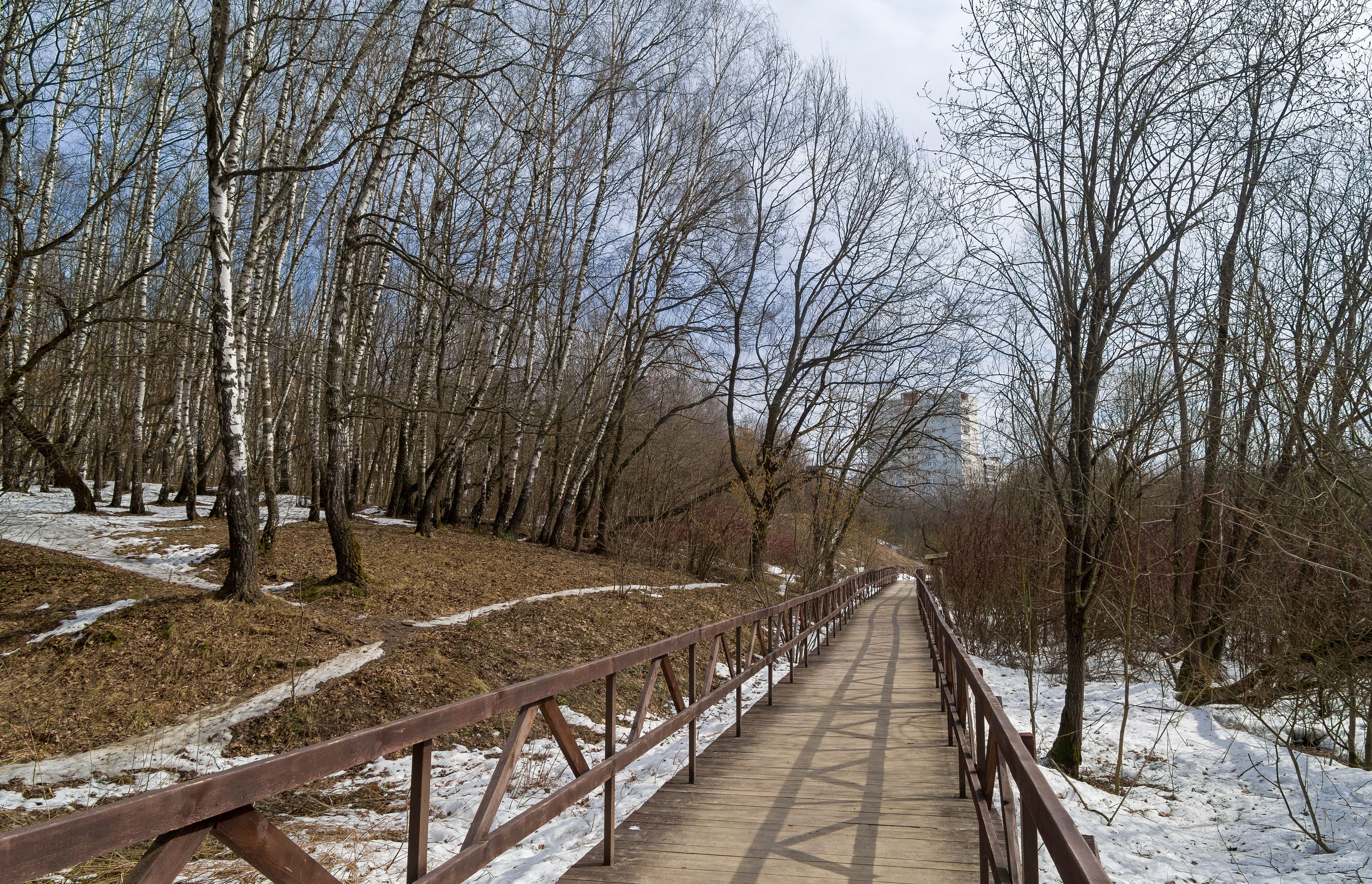 A footbridge at the bottom of a small ravine.