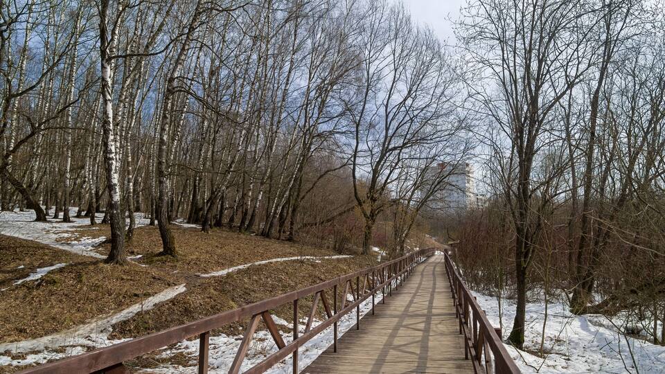 A footbridge at the bottom of a small ravine.