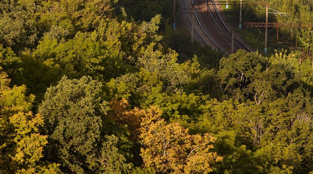 First early morning train