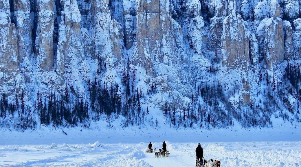 Dog sledding on the River Lena, Yakutia, far-eastern Siberia