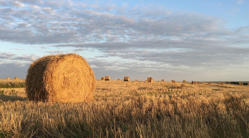 Утренние пейзажи с дороги