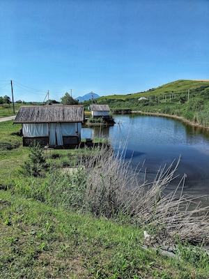 Lake day in the foothills of the Caucasus Mountains! A half hour outside Pyatigorsk, Russia past the sunflower fields is this lake where you can rent a cabaña and order Uzbek Plov cooked over an open fire 🌻
#Nature #Russia #lakeday #foothills #mountains