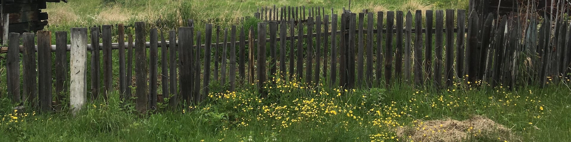 I didn’t expect Siberia to be so lush. This village was around the shore of the huge expanse of Lake Baikal, which we explored by train. take the circum-Baikal train for a close up exploration of the landscape and villages. The train line is a feat in itself, being carved through rock about a hundred years ago. This is often inhospitable countryside for most of the year. Many of the small villages showed that life was tough and money was tight. Most buildings were quite broken-down.