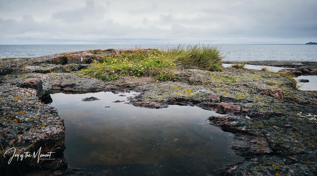 #Adventure Contest
Did you know that the word “tundra” was born here, on the Kola Peninsula and means "treeless mountains" in Kildin Sami, the language of the local ingenious people that had inhabited these lands since before 12th century when the Russian settlers reached the area. "Tundra" usually refers only to the areas with the permanently frozen soil. It’s amazing how you can tell the average summer temperature by the height of the vegetation in the area and how every degree of warmth matters. ✔️If you only see prostrate (or creeping, or dwarf) shrubs, it means that it doesn’t get warmer than 3–5°C (37-41°F) in July. ✔️Plants 15 cm (6 in) tall boast temperature of 5–7°C (41-45°F). ✔️Shrubs up to 40 cm (16 in) in heigh get 7–9°C (45-48°F). ✔️The 2 m (80 in) tall trees grow when it generally warms up to 9–11°C (48-52°F).
