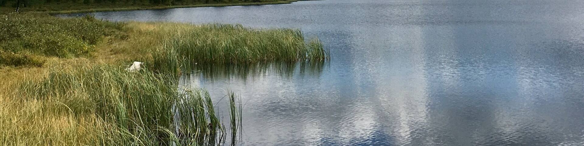 Прекрасный Алтай