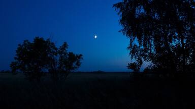 First night of wild camping in Eastern Russia.
After leaving Semey in the morning we drove for about 8 hours before the sun started to set.
Without a place to camp, we decided to leave the highway and set up our tents on the first bit of land that we found, which happened to be a big farm that wasn't in use. With hardly any light in the area, the night sky looked incredible.