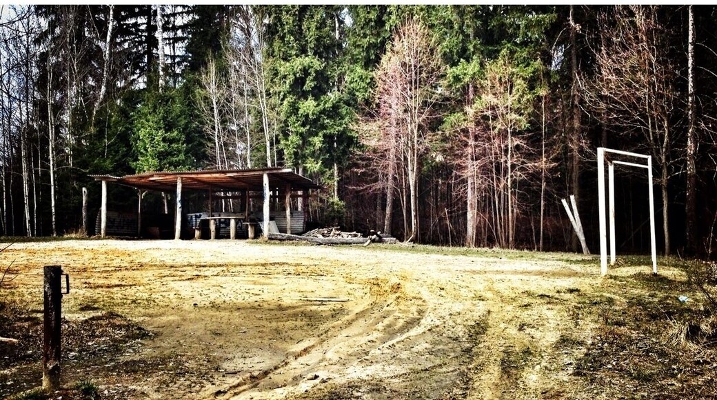 Футбольное поле.