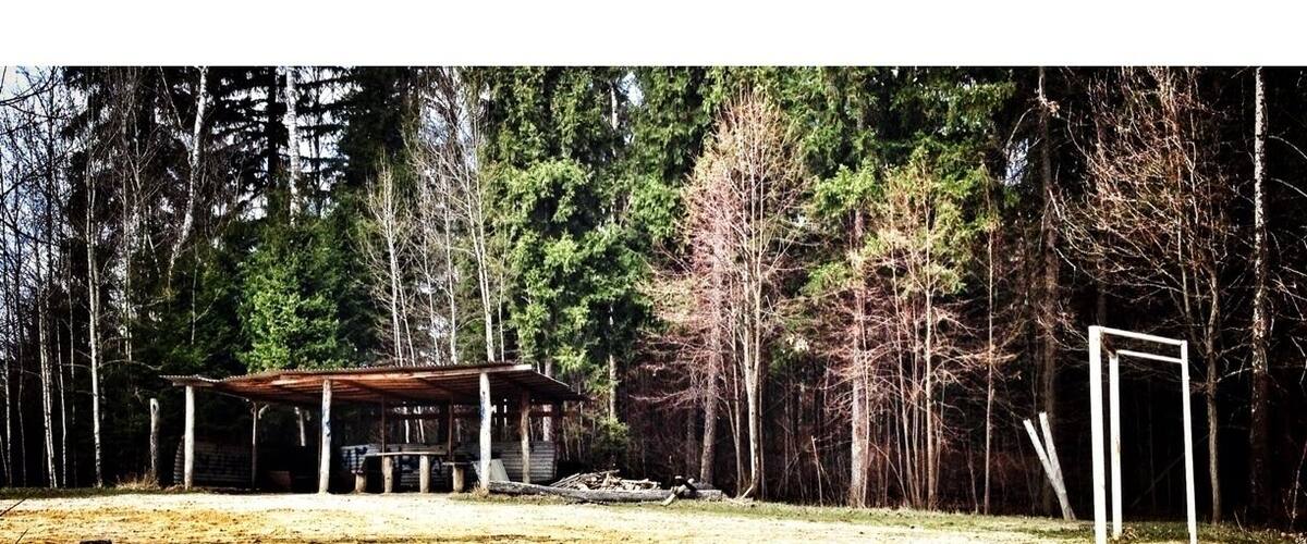 A rustic cabin surrounded by dense forest.