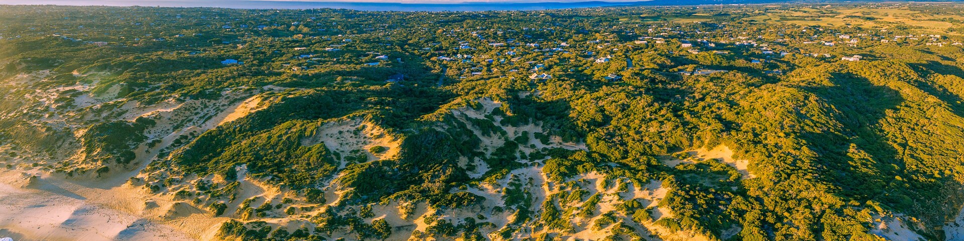 Un paisaje costero con una playa, colinas boscosas y una ciudad distante.