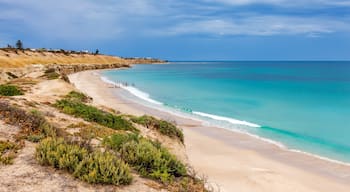 Port Willunga
