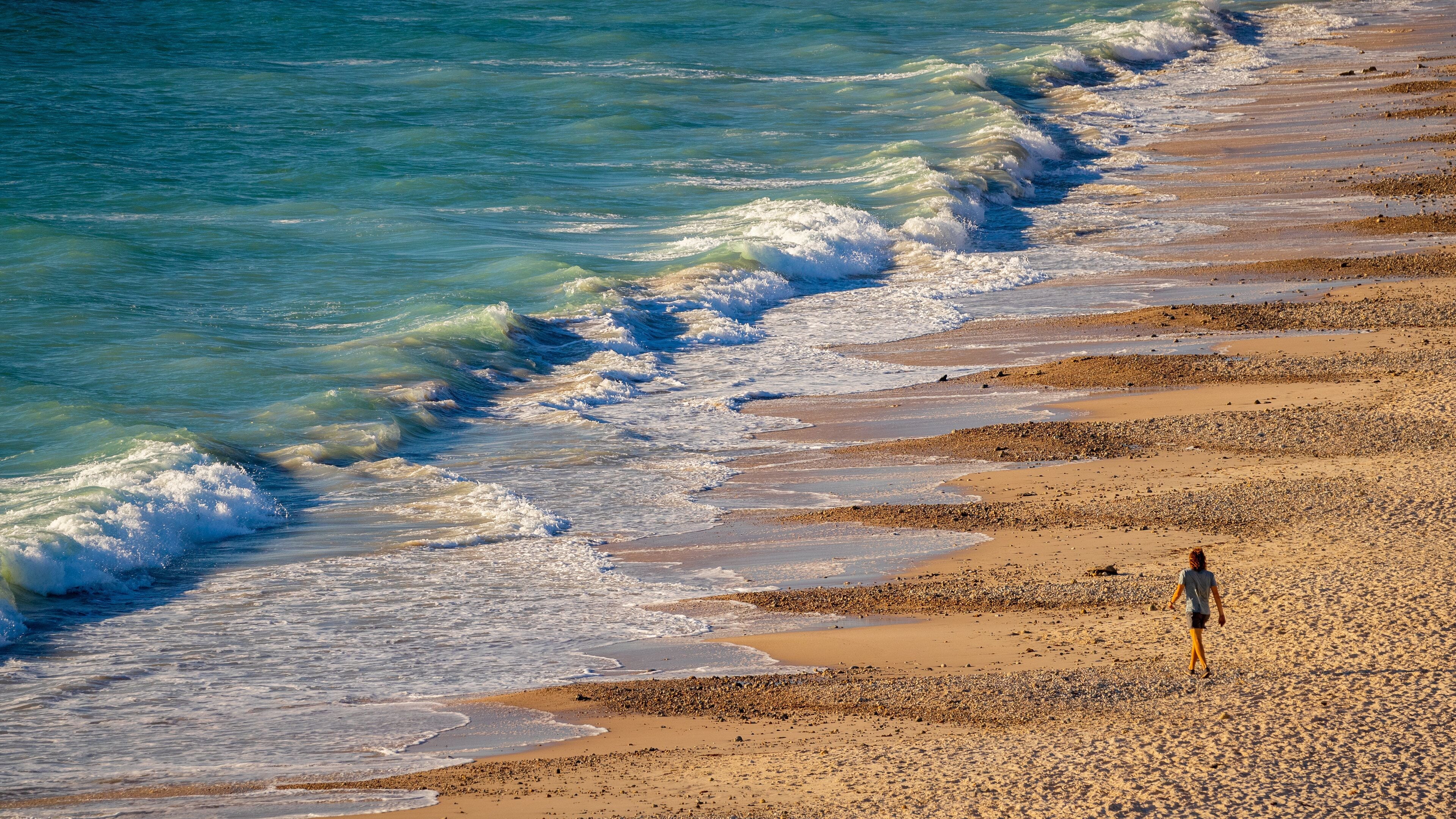 Port Willunga Beach which includes general coastal views and a sandy beach as well as an individual male