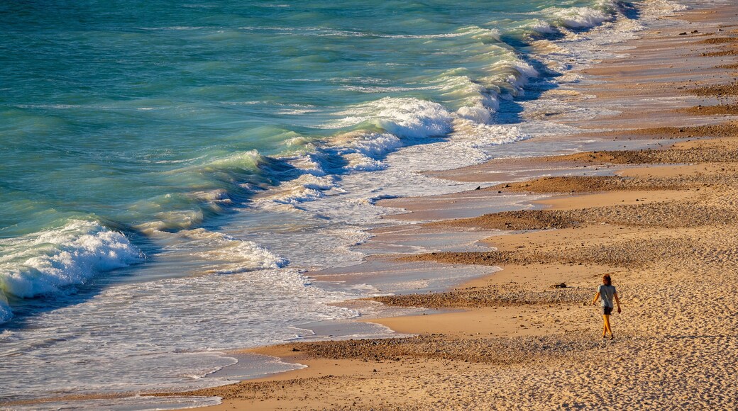 Port Willunga Beach which includes general coastal views and a sandy beach as well as an individual male