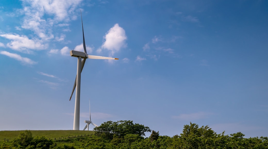 Finca ecológica Samyang