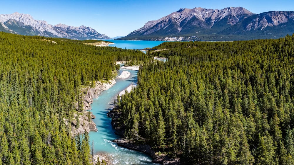 Canadian panoramic aerial landscape view along river course of Cline river with river mouth into North Saskatchewan River as well Abraham Lake and Rocky Mountains in background