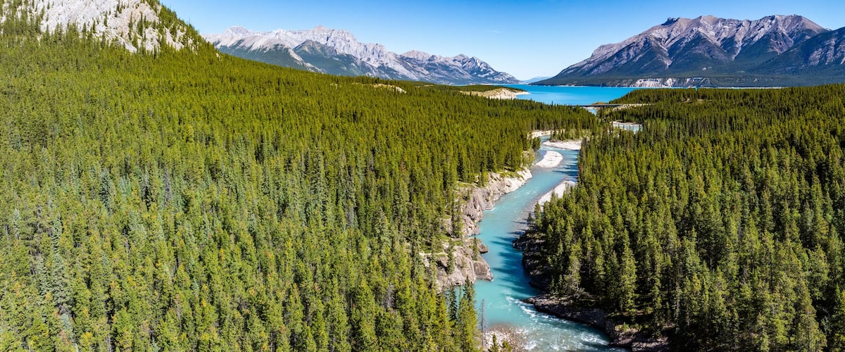 A river winding through a dense forest with mountains in the background.