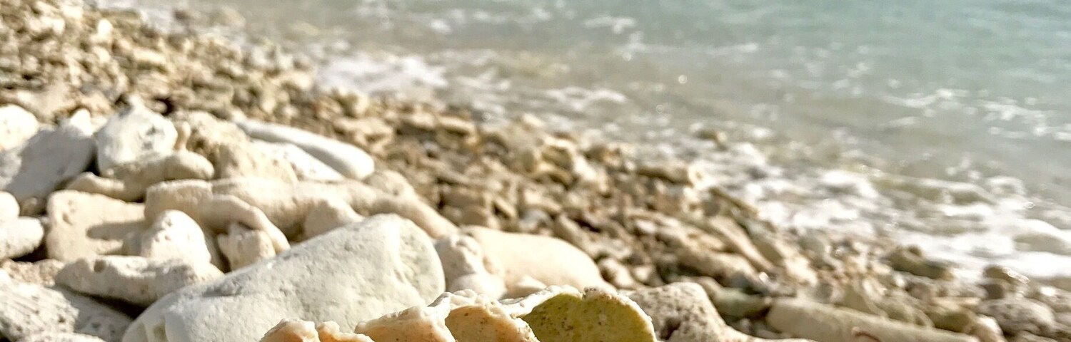 A little shelly beach an hour out of Les Cayes. Beautiful spot, worthy the bumby ride. #BeachBound