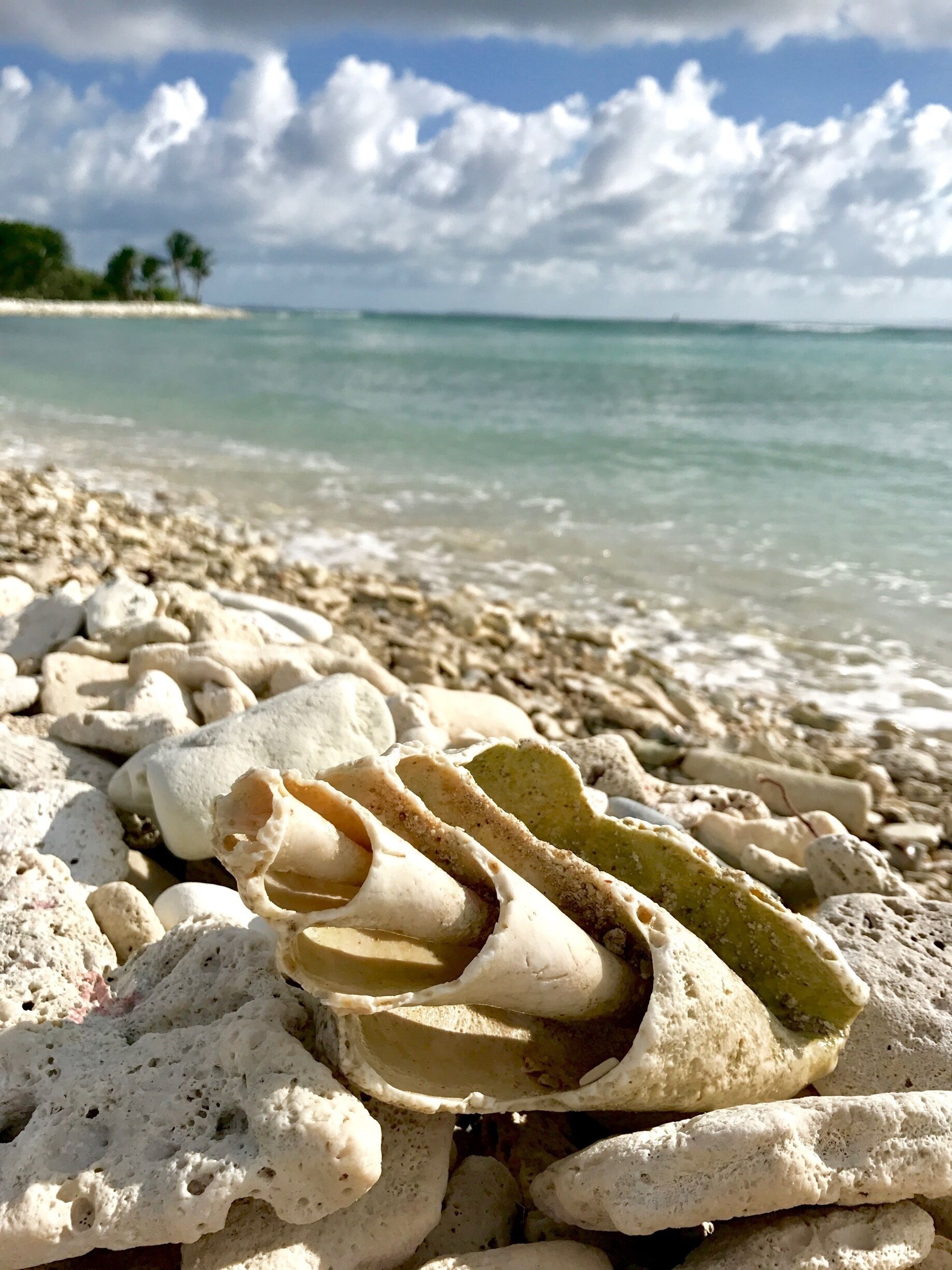 A beach with white coral formations and a clear blue sky.