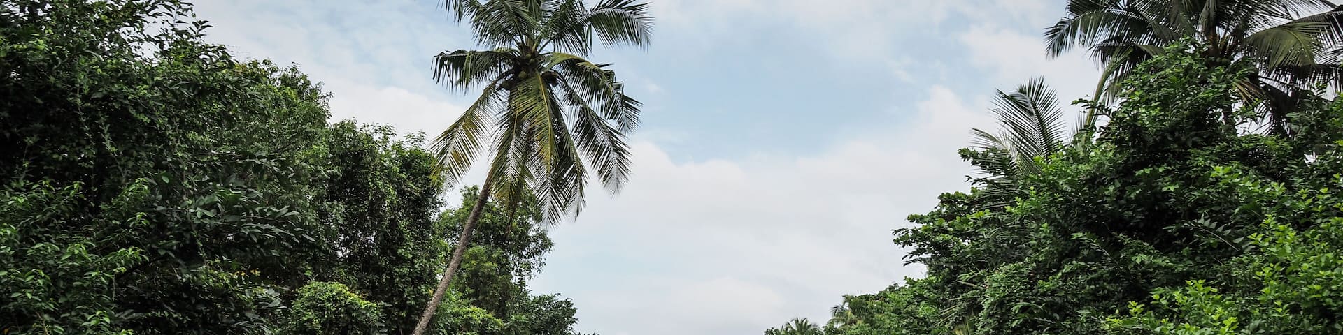 The landscape of the Negombo Lagoon in Sri Lanka