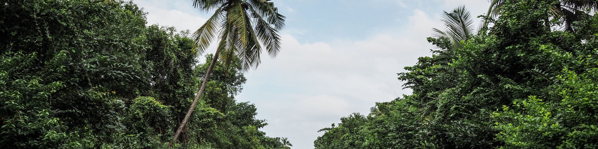 The landscape of the Negombo Lagoon in Sri Lanka