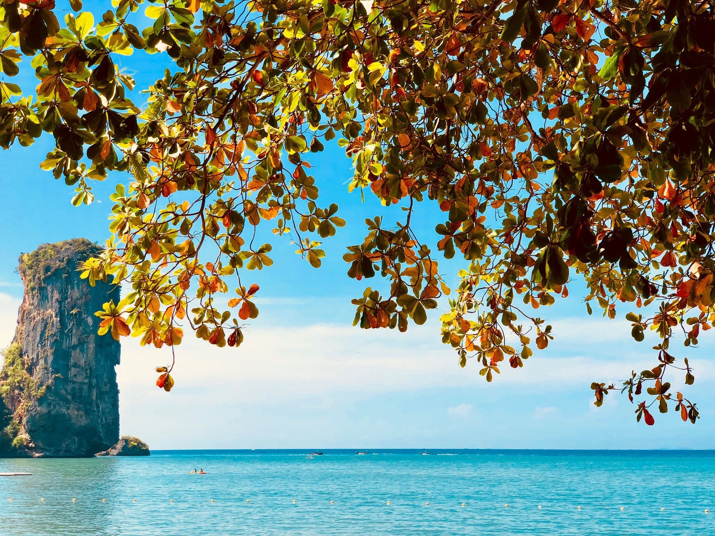 “Falls”

This photograph was clicked at one of the hidden beach in Krabi province of Thailand.

The colorful leaves were a great contrast to blue water in backdrop.

#LifeAtExpedia