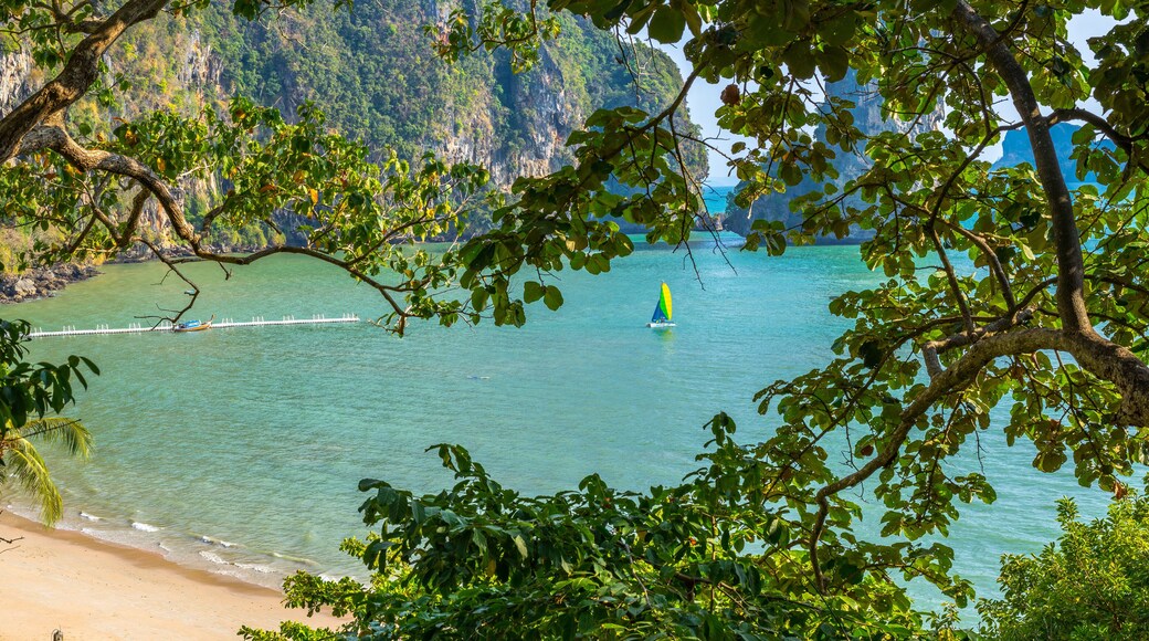 A view on Pai Plong beach from Monkey trail in Krabi province of Thailand