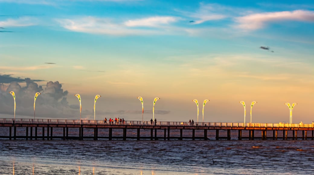 Trapiche Eliezer Levy, Macapá, Amapá, Brasil
