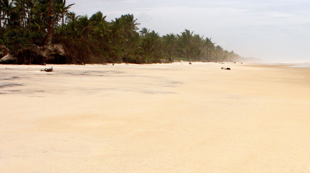 Beach of Ilha Atalaia, Canavieiras, Bahia, Brazil, South America.