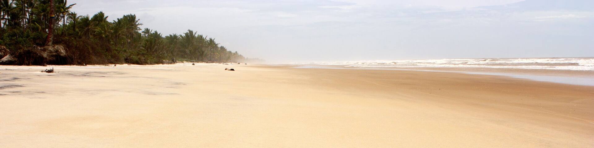A wide sandy beach with gentle waves, a line of palm trees, and a clear sky.